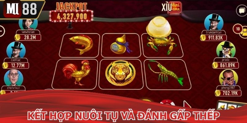 Chiến thắng bầu cua với phương pháp nuôi tụ và đánh gấp thếp