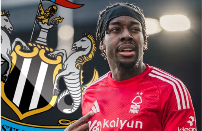 Newcastle loves elanga