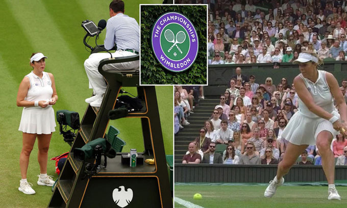 The ball went out but due to the error system, the referee could not make a decision
