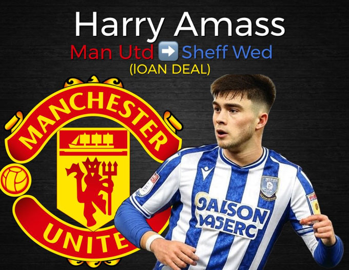Amass wants to lend to Sheffield Wednesday