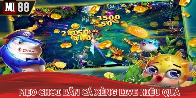 Một số mẹo để hội viên săn xu hiệu quả