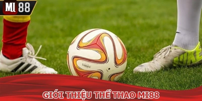 Chuyên mục thể thao MI88 được nhiều người yêu thích