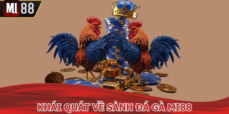 Đá gà Mi88 được ưa chuộng nhờ sân chơi đẳng cấp