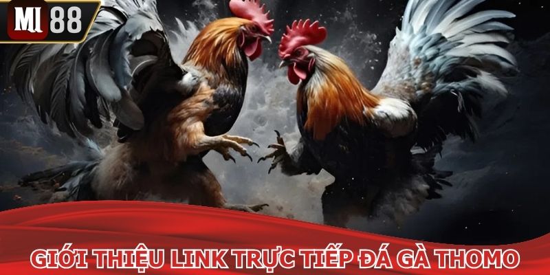 Giới thiệu về link xem đá kê trực tuyến