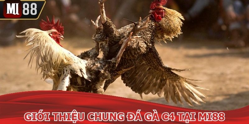 Hội viên nhận nhiều quyền lợi hơn khi tham gia