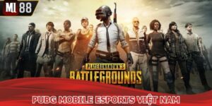 Pubg Mobile Esports Việt Nam