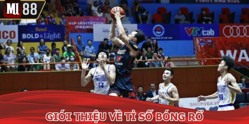 Thông tin quan trọng khi theo dõi, cá cược thể thao