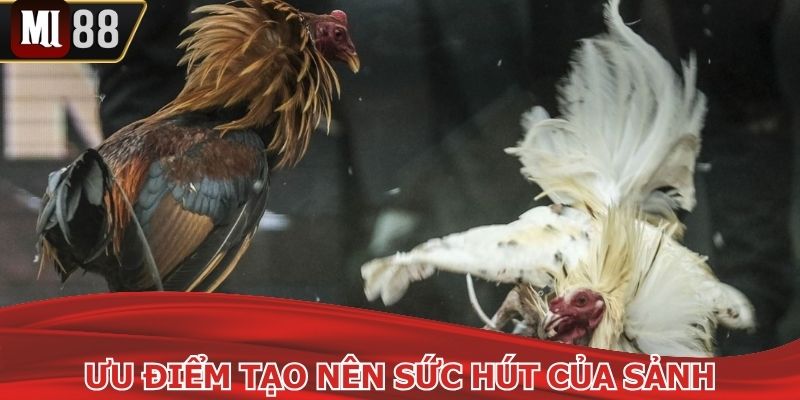 Tốc độ đường truyền đá gà Mi88 được nâng cấp