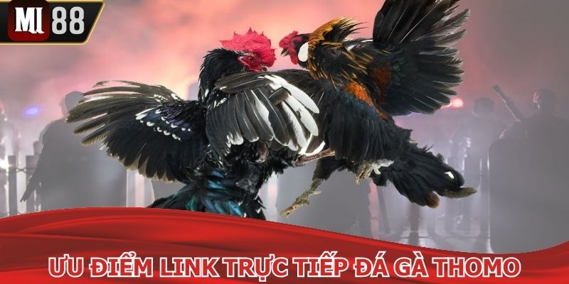 Ưu điểm của link trực tiếp đá gà thomo hot hit