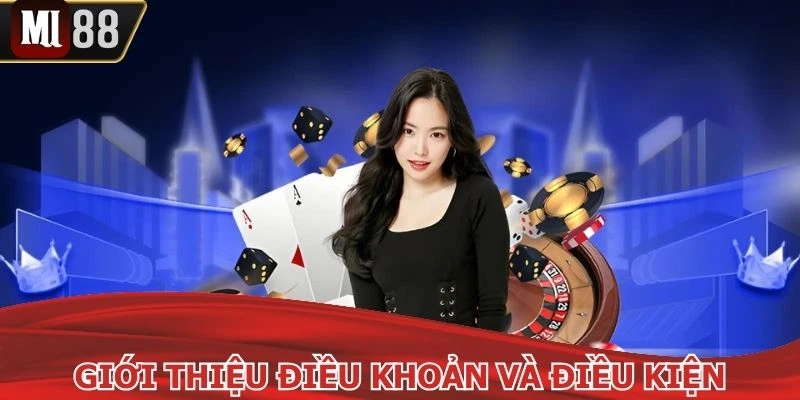 Vài nét tổng quát về chính sách điều khoản và điều kiện  