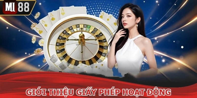 Vài thông tin cần nắm về giấy phép hoạt động